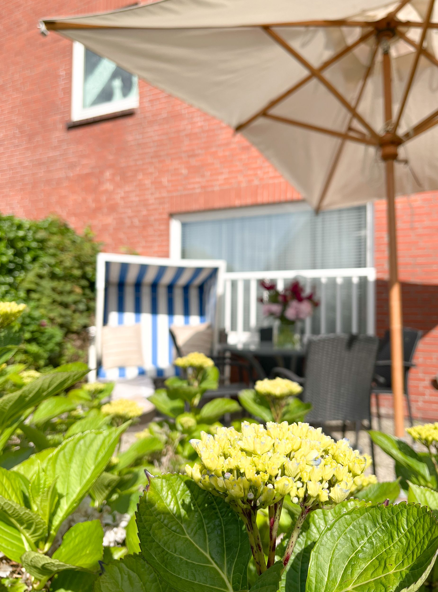 Strandkorb mit Blumen in einer Ferienwohnung auf Sylt