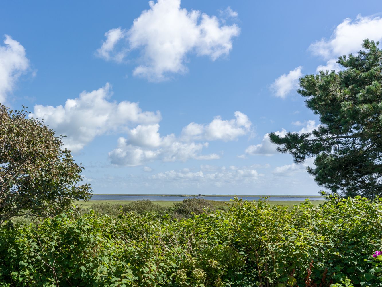Natur auf Sylt
