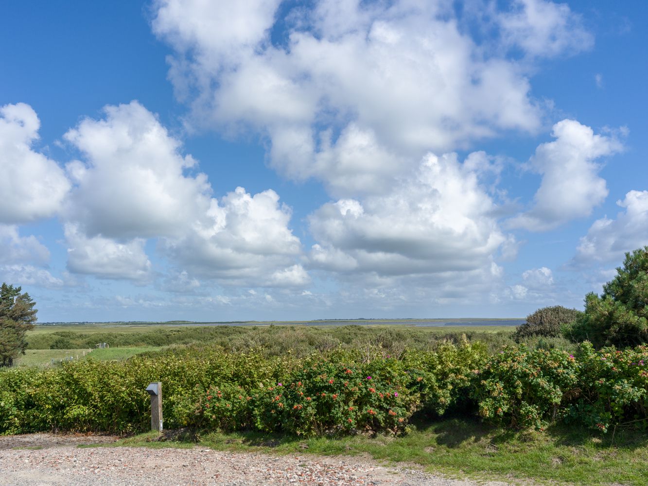 Natur auf Sylt